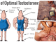 5 Best Superfoods To Increase Testosterone Levels