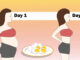 A14 Day Diet Plan For Rapid Fat Loss