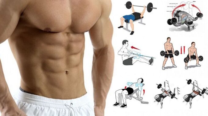 Awesome Upper Body Muscle Building Exercises