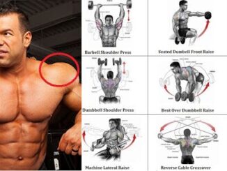 Top 5 Exercises to Build Shoulder Muscles