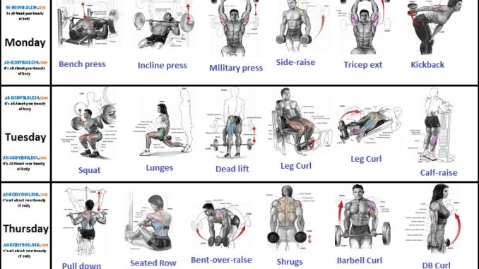 Top 7 Awesome Weight Training Workou
